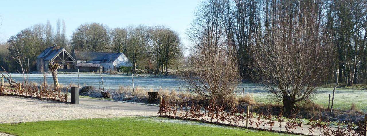 Вілла Velpe 55 Bierbeek Екстер'єр фото