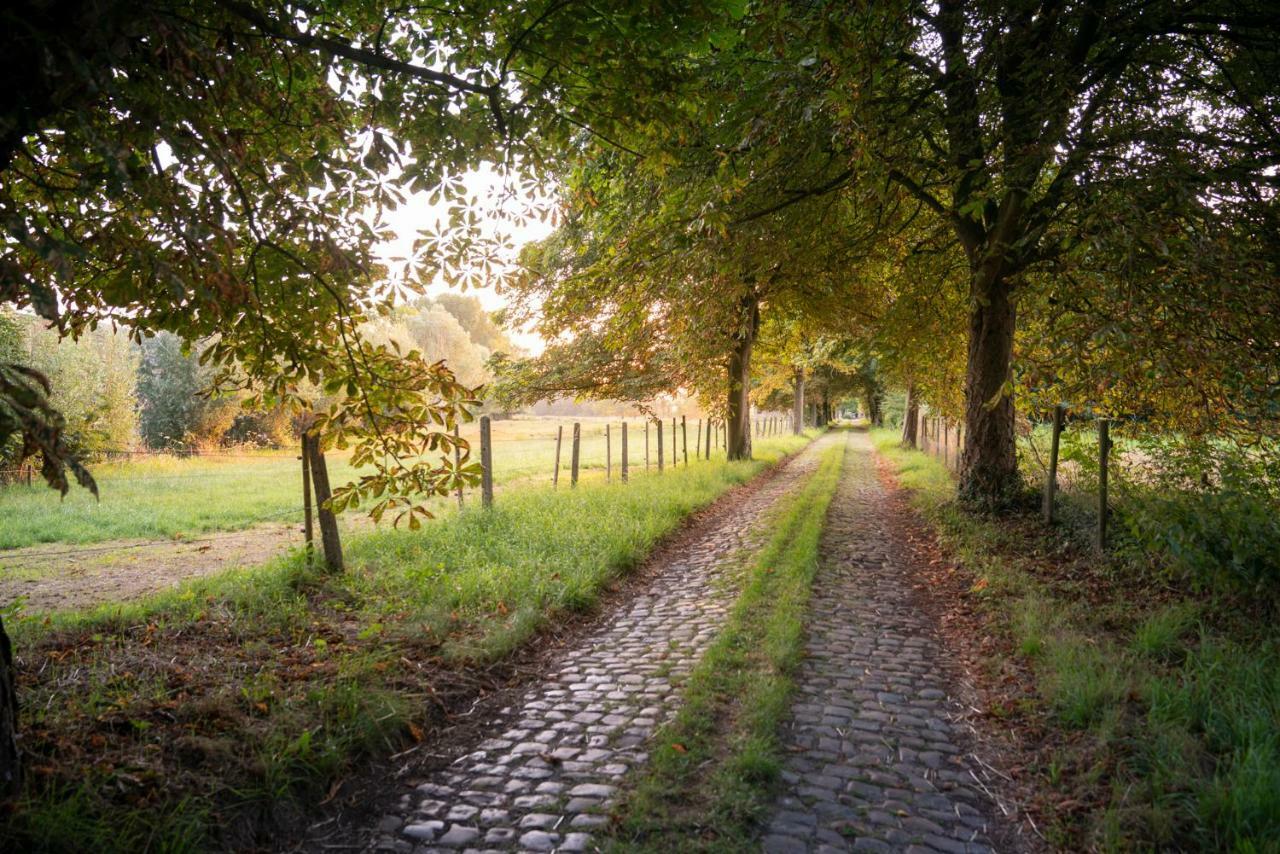 Вілла Velpe 55 Bierbeek Екстер'єр фото