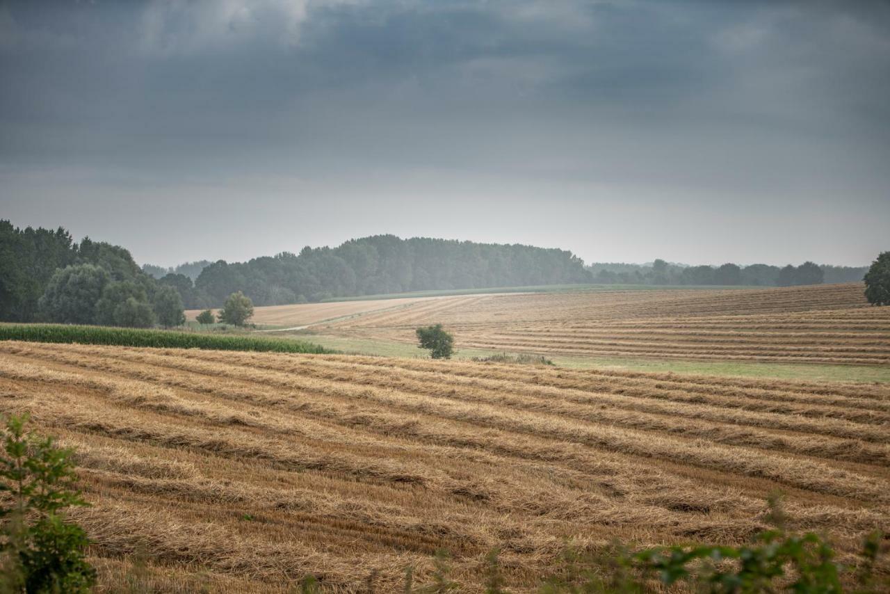 Вілла Velpe 55 Bierbeek Екстер'єр фото