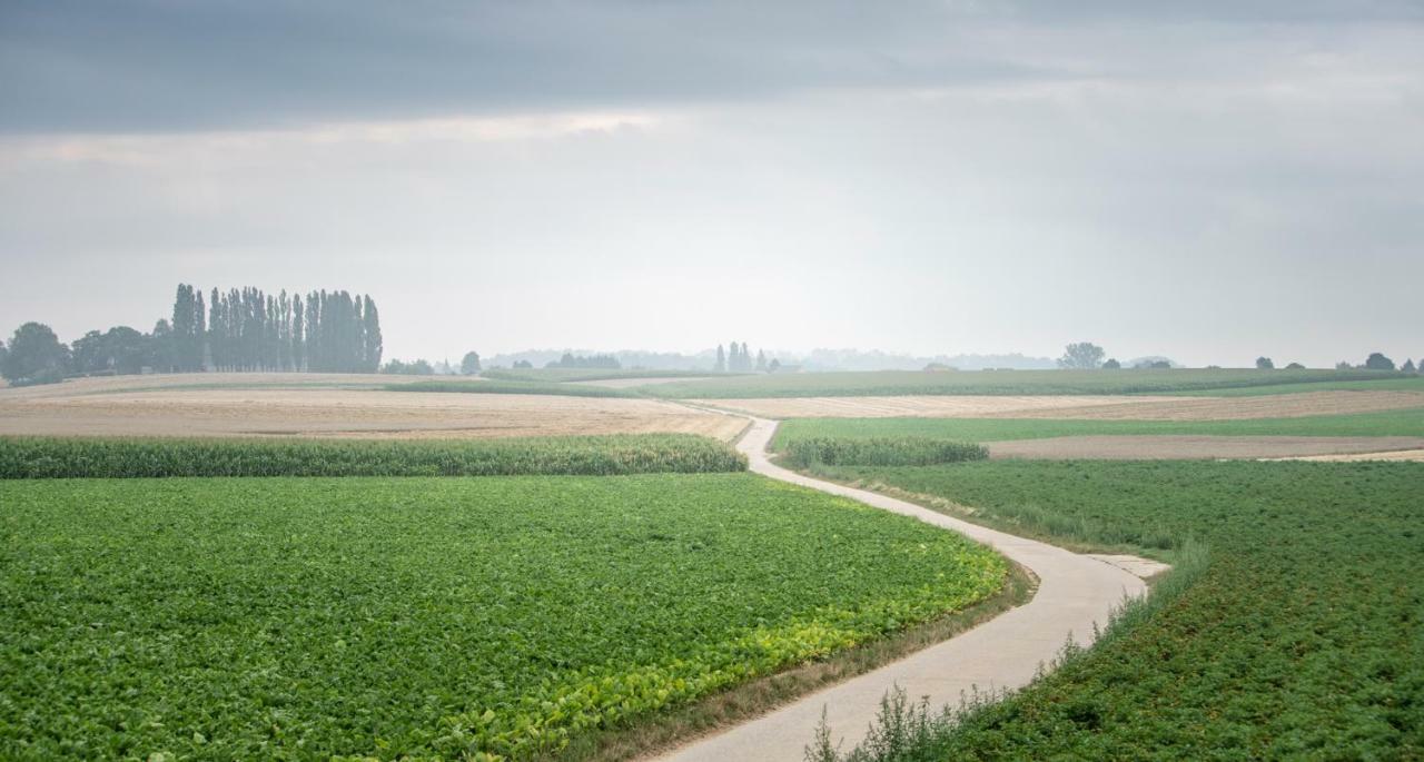 Вілла Velpe 55 Bierbeek Екстер'єр фото
